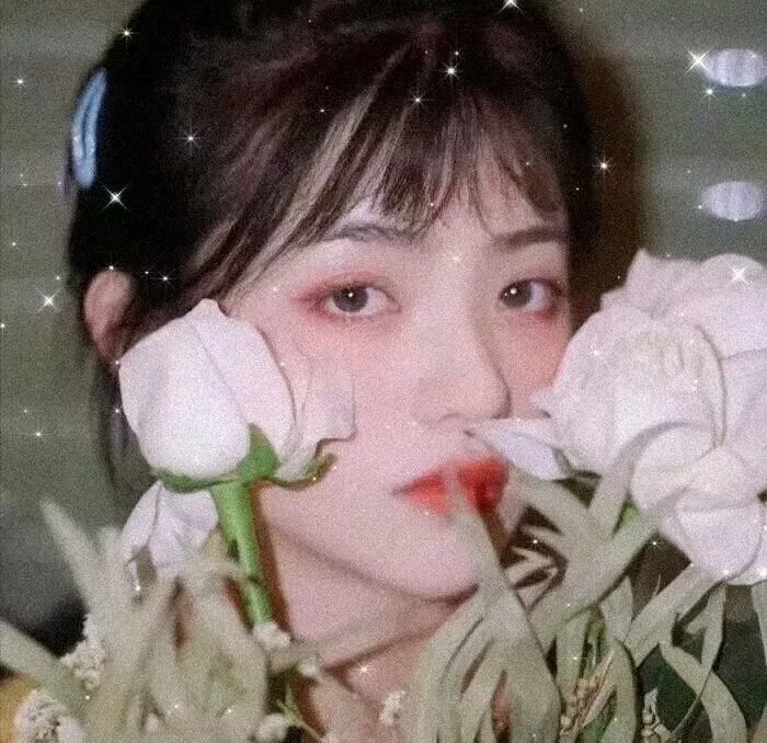 少奇同志