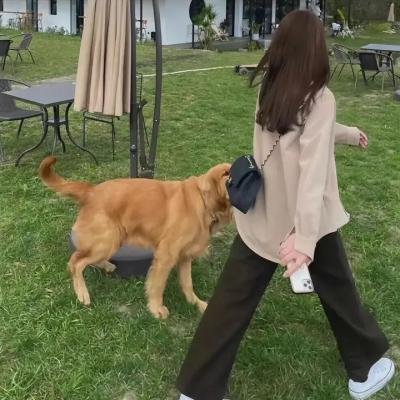 赤裸的公务员